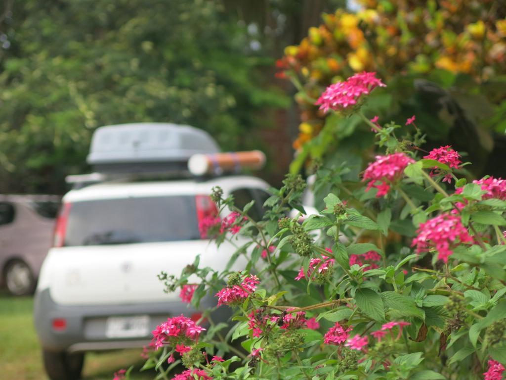 Hostel Y Posada Colibri Puerto Iguazu Ngoại thất bức ảnh