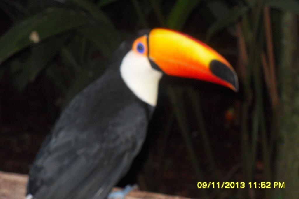 Hostel Y Posada Colibri Puerto Iguazu Ngoại thất bức ảnh