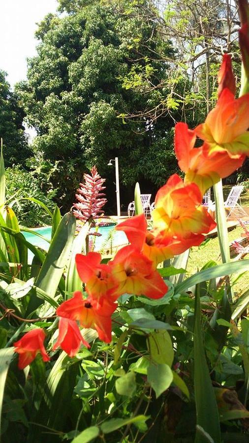 Hostel Y Posada Colibri Puerto Iguazu Ngoại thất bức ảnh